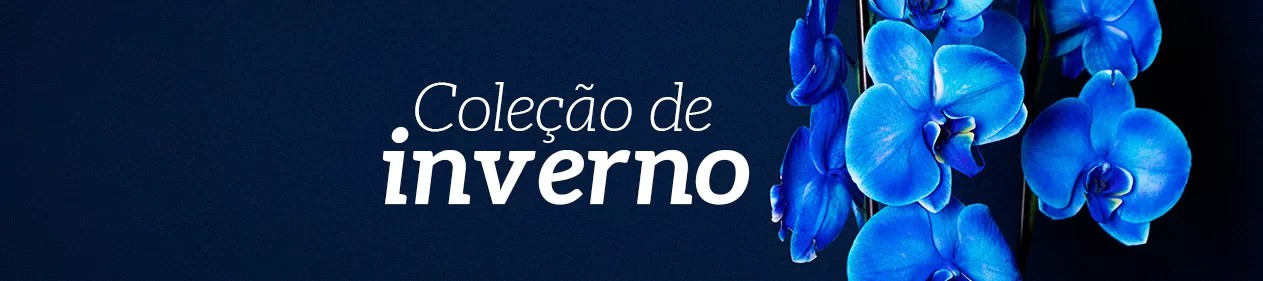 Coleção de Inverno